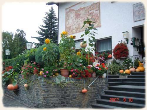 Gasthof zur Römervilla Mehring  Exteriör bild